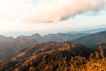 威海疫情通报[威海疫情实时动态]